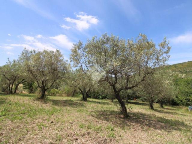 Terreno in vendita a Salisano, Lazio