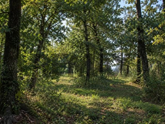 Terreno in vendita a Salsomaggiore Terme, Parma
