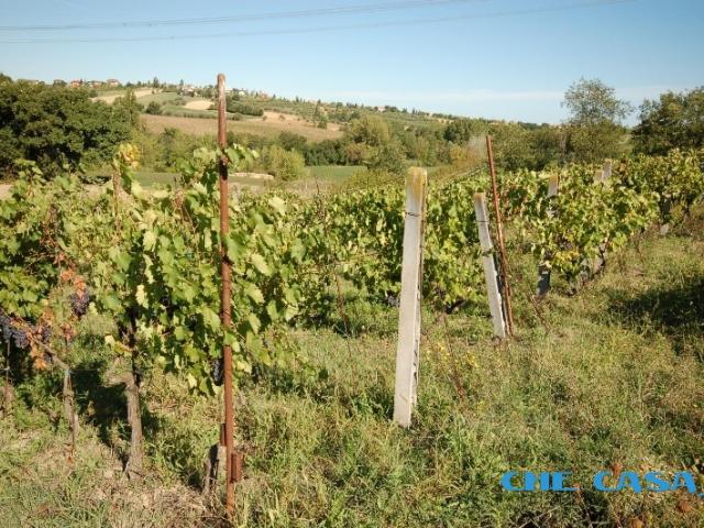 Terreno in vendita a Monte del Prete Basso, Saludecio