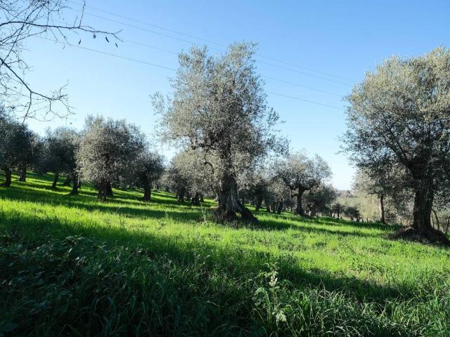 Terreno in vendita a Saludecio, Reggio Emilia