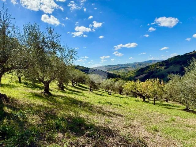 Terreno in vendita a Monte del Prete Basso, Saludecio