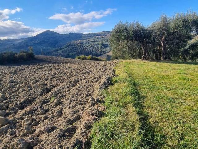 Terreno in vendita a Monte del Prete Basso, Saludecio