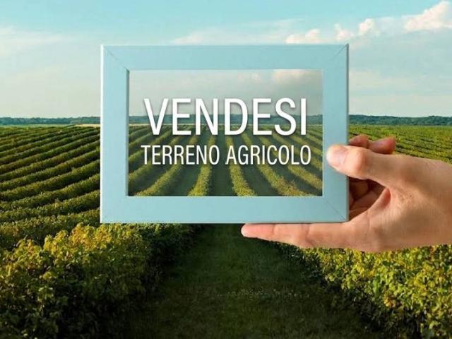 Terreno in vendita a Vigellio, Salussola