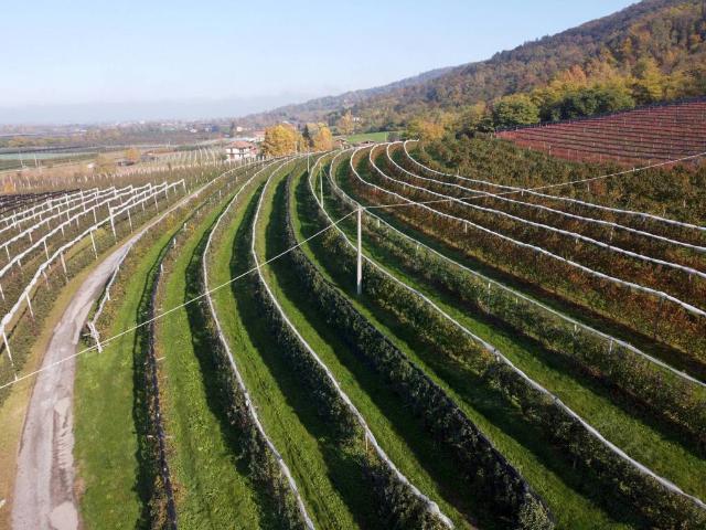 Terreno in vendita a Piemonte, Cuneo
