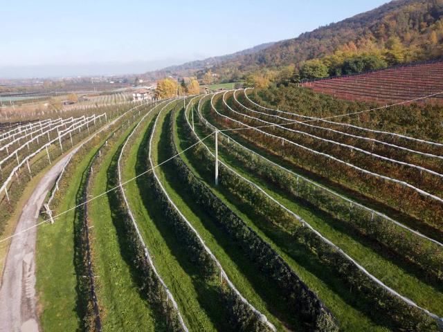 Terreno in vendita a Piemonte, Cuneo