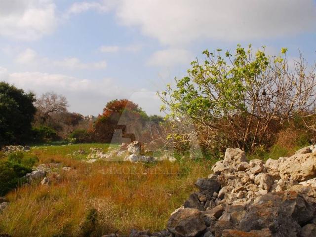 Terreno in vendita a Puglia, Lecce