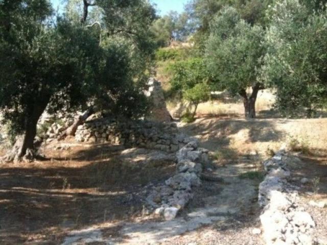Terreno in vendita a Puglia, Lecce