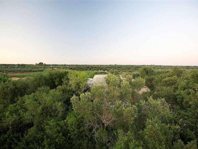 Terreno in vendita a Puglia, Lecce