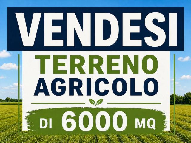 Terreno in vendita a Salzano, Veneto