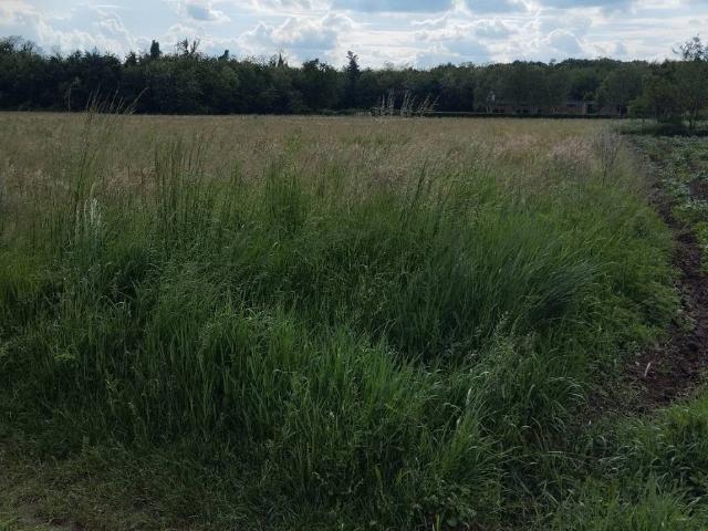 Terreno in vendita a Cascina Romanetti, Samarate