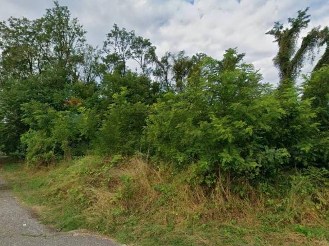 Terreno in vendita a Verghera, Samarate