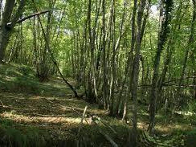 Terreno in vendita a Vanzaghello, Lombardia