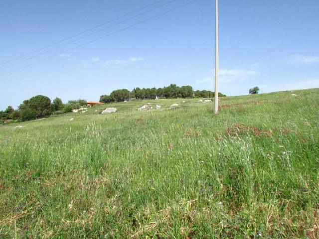 Terreno in vendita a Sambuca Di Sicilia, Sicilia