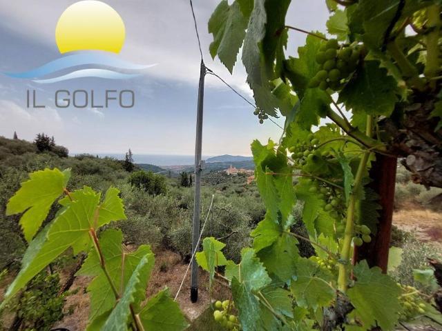 Terreno in vendita a San Bartolomeo Al Mare, Liguria
