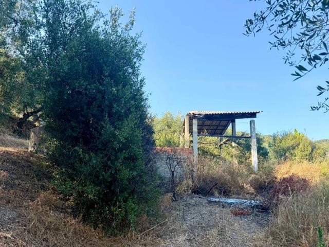 Terreno in vendita a San Bartolomeo Al Mare, Liguria