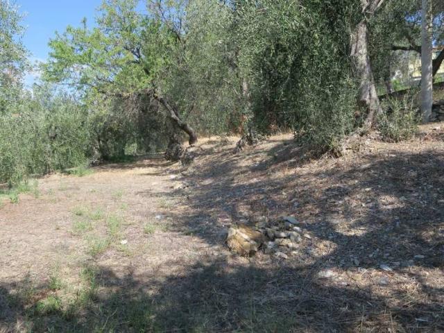 Terreno in vendita a San Bartolomeo Al Mare, Liguria