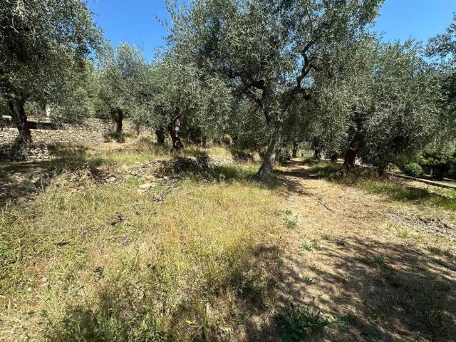 Terreno in vendita a San Bartolomeo Al Mare, Liguria
