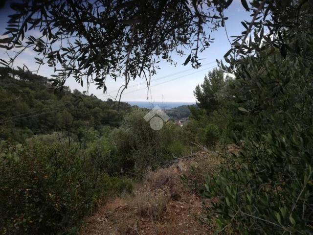 Terreno in vendita a San Bartolomeo Al Mare, Liguria