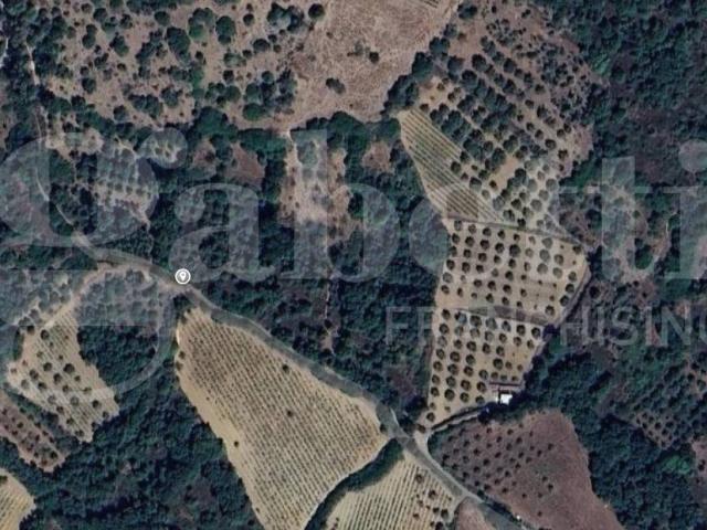 Terreno in vendita a San Basilio, Sardigna/Sardegna