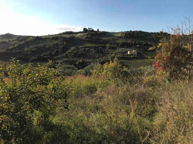 Terreno in vendita a Ragnola, Marche