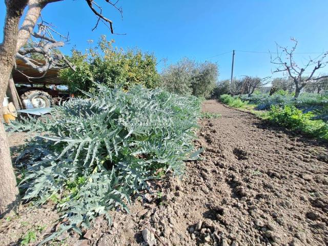 Terreno in vendita a Sentina, Marche