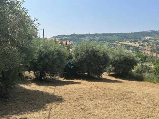 Terreno in vendita a Paese Alto, Marche