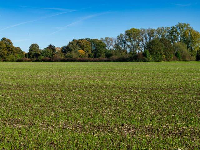 Terreno in vendita a San Benedetto Po, Lombardia