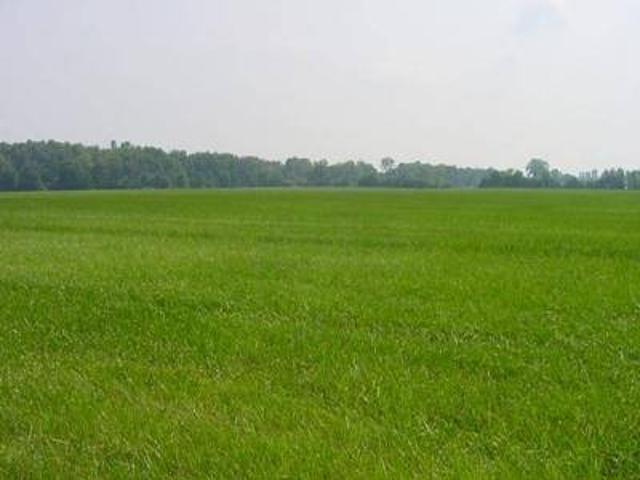 Terreno in vendita a San Benedetto Po, Lombardia