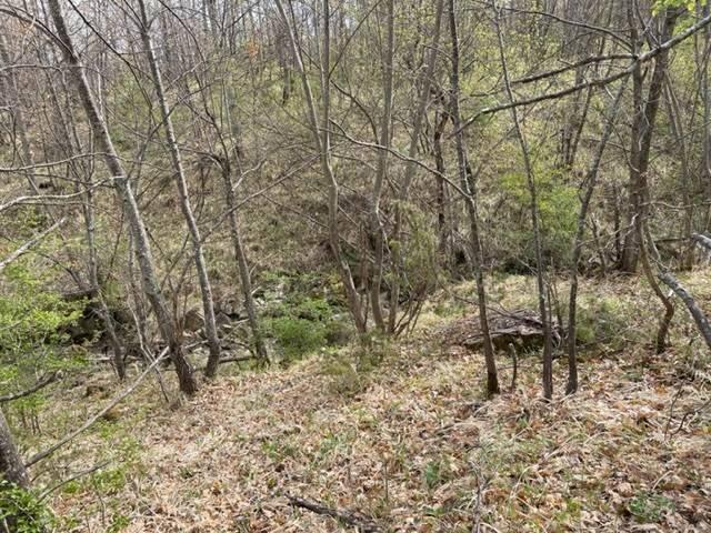 Terreno in vendita a Unione dell'Appennino Bolognese, San Benedetto Val Di Sambro