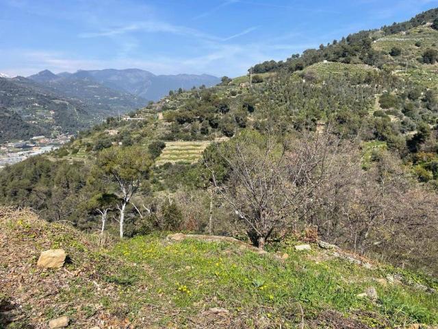 Terreno in vendita a San Biagio Della Cima, Liguria