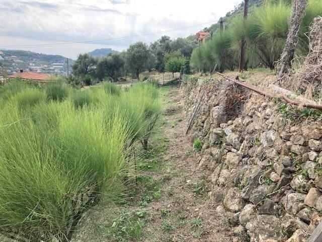 Terreno in vendita a San Biagio Della Cima, Liguria