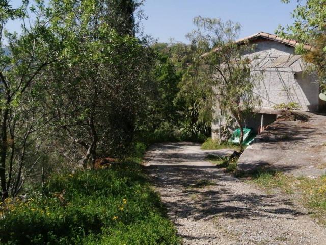 Terreno in vendita a San Biagio Della Cima, Liguria