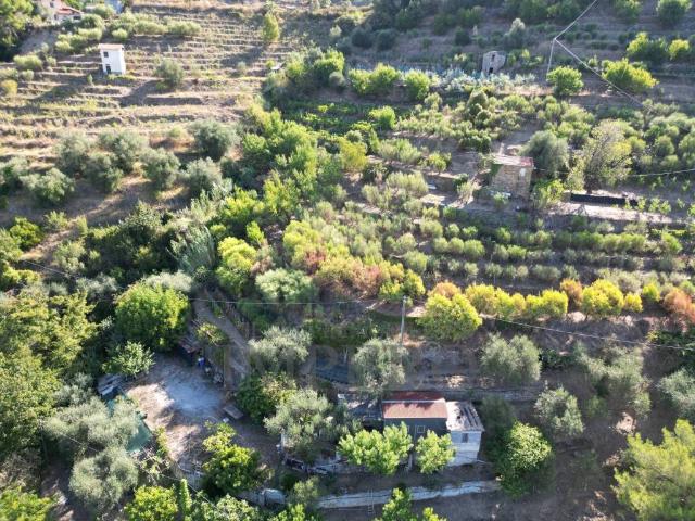 Terreno in vendita a San Biagio Della Cima, Liguria