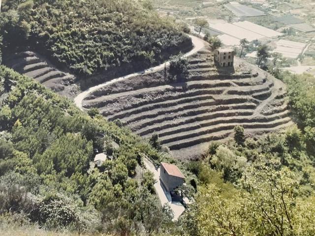 Terreno in vendita a San Biagio Della Cima, Liguria