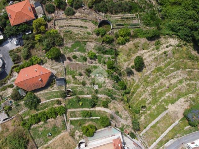 Terreno in vendita a San Biagio Della Cima, Liguria