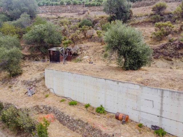 Terreno in vendita a San Biagio Della Cima, Liguria