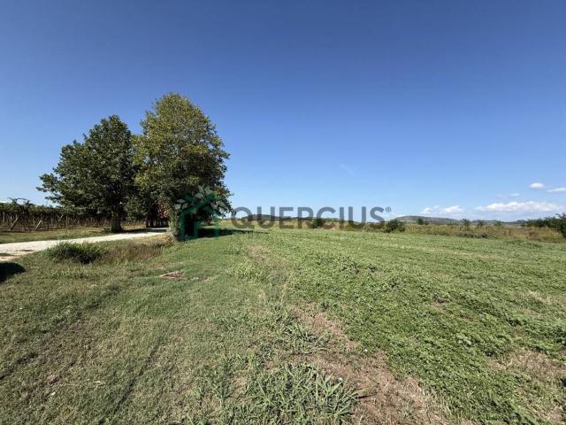 Terreno in vendita a San Bonifacio, Veneto