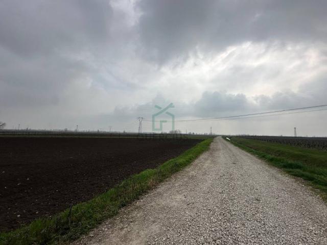 Terreno in vendita a San Bonifacio, Veneto