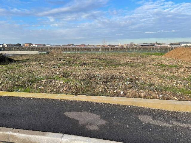 Terreno in vendita a San Bonifacio, Veneto