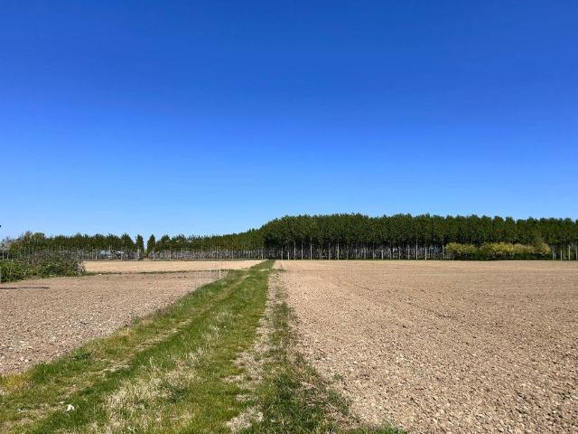 Terreno in vendita a San Canzian D'isonzo, Friuli-Venezia Giulia