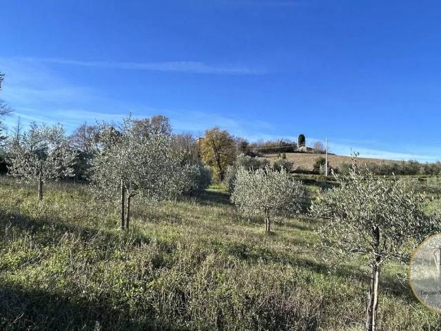 Terreno in vendita a San Casciano, Toscana
