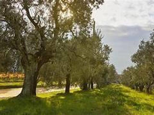 Terreno in vendita a San Casciano in Val di Pesa, Mercatale Val Di Pesa