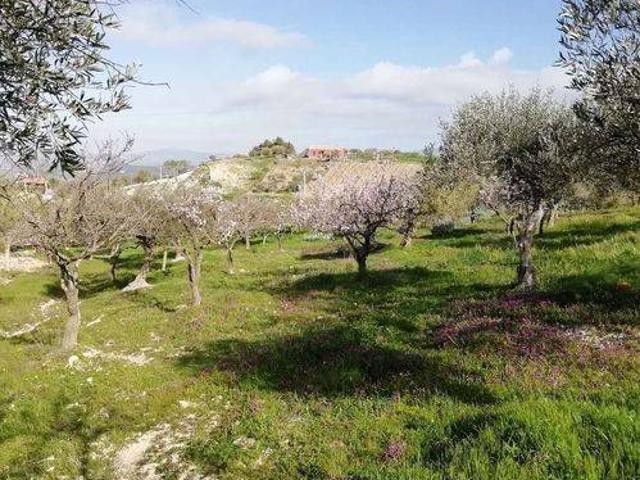 Terreno in vendita a Borgo Palo, San Cataldo