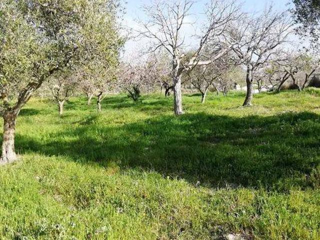 Terreno in vendita a Borgo Palo, San Cataldo