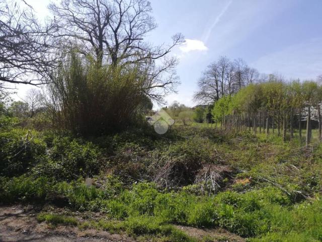 Terreno in vendita a Roma Capitale, Lazio