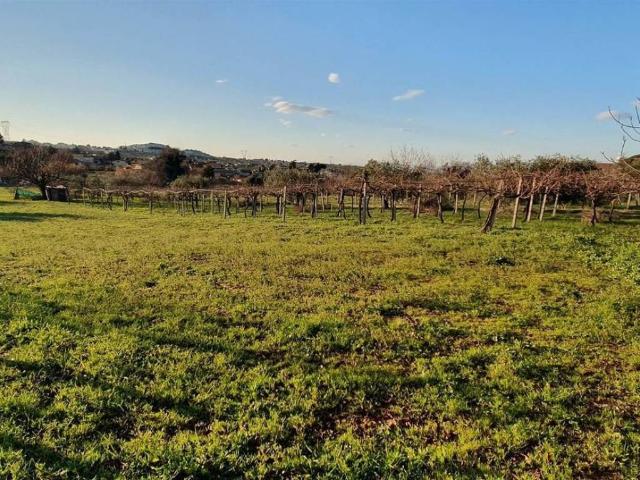 Terreno in vendita a Roma Capitale, Lazio