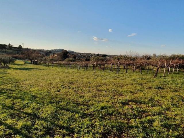 Terreno in vendita a Roma Capitale, Lazio