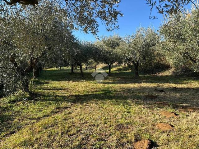 Terreno in vendita a Roma Capitale, Lazio
