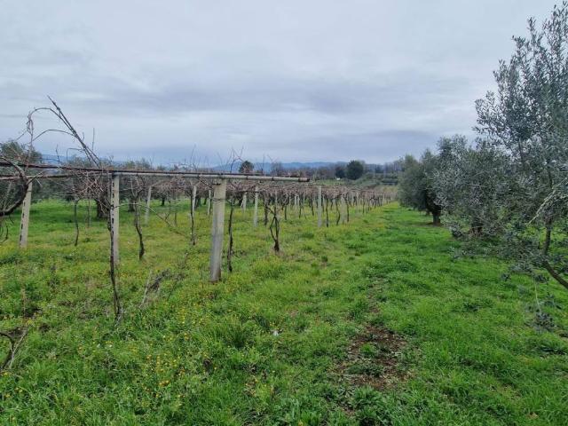 Terreno in vendita a Roma Capitale, Lazio
