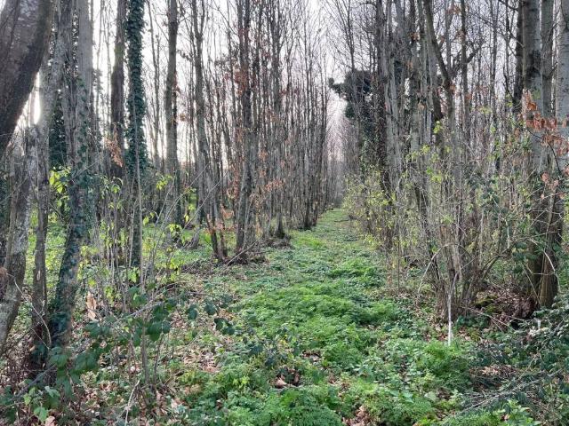 Terreno in vendita a Roma Capitale, Lazio